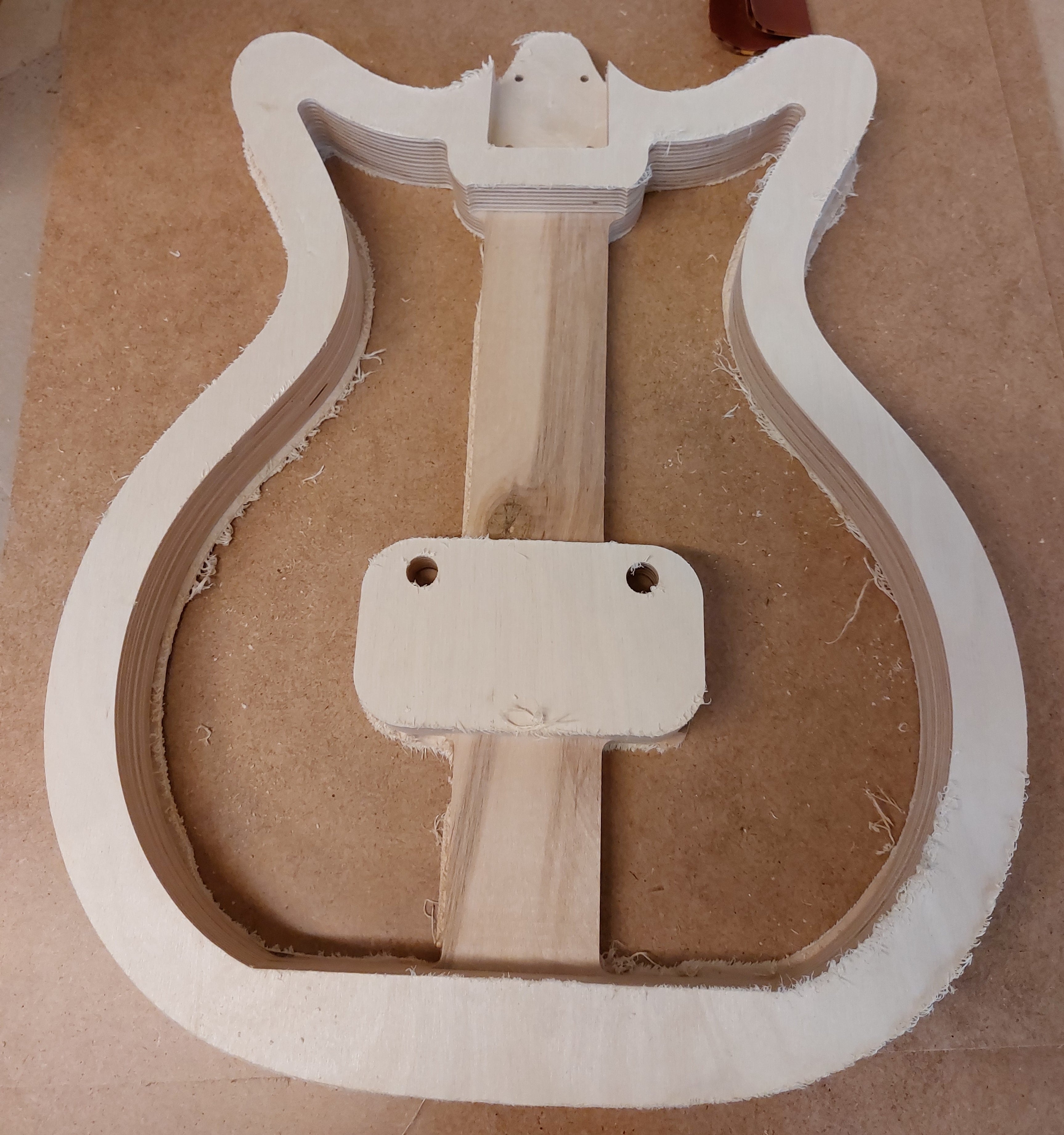 danelectro