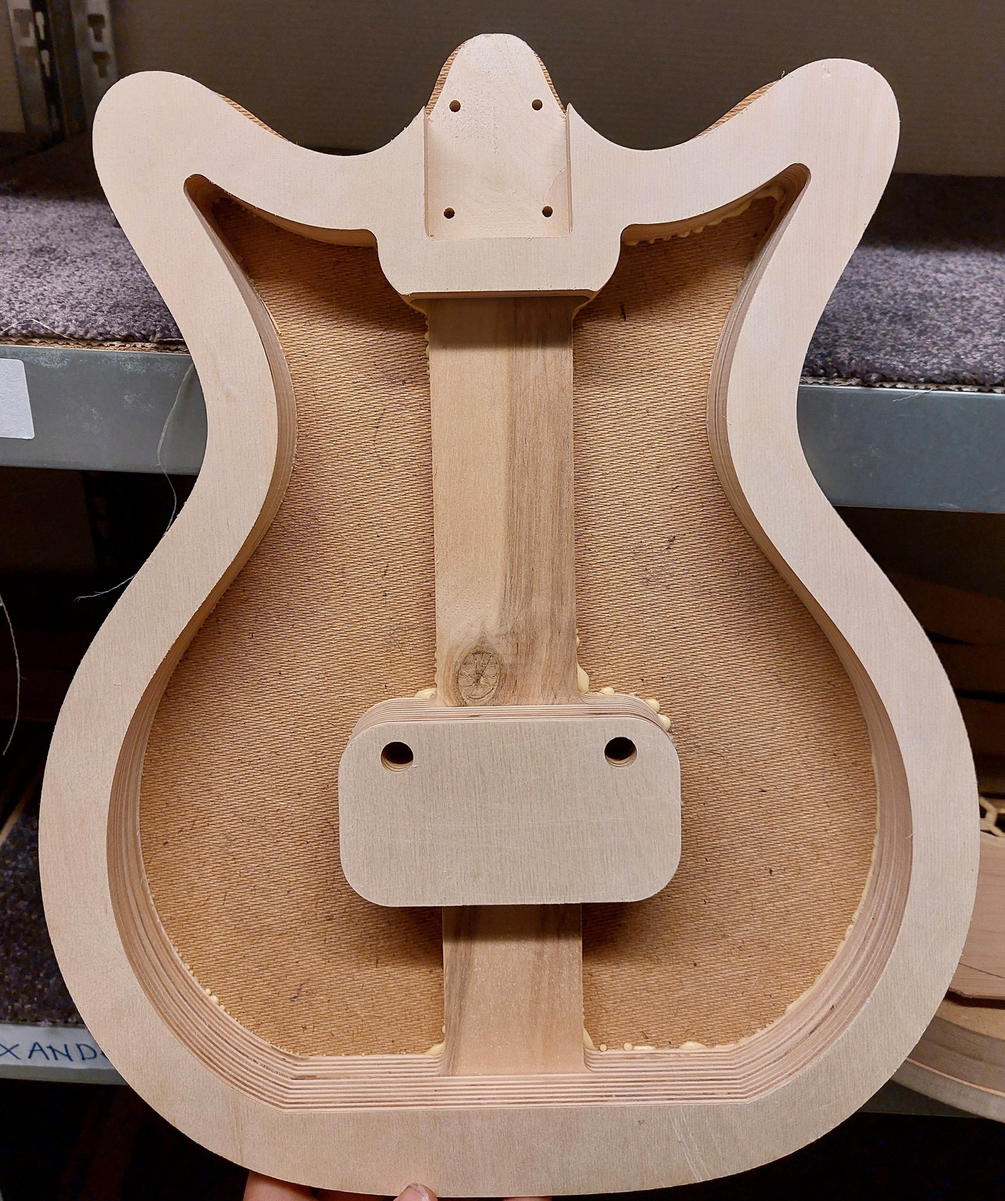 danelectro
